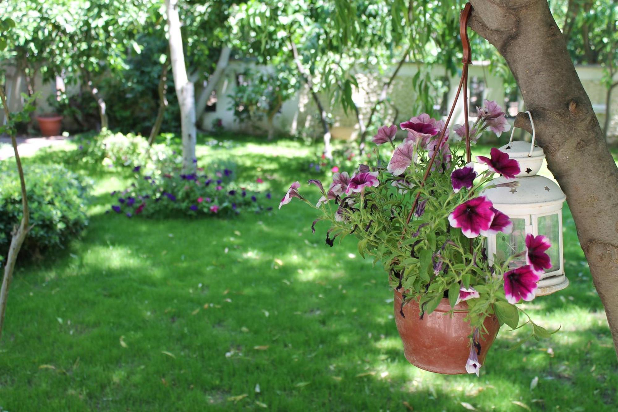 Bella Garden Hotel Бодрум Экстерьер фото
